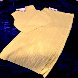 NWT House of Harlow 1960 2-Piece Ribbed Crew Neck/Skirt Set